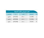 موتور جاروبرقی سامسونگ (هرکول) روسو - تصویر 2